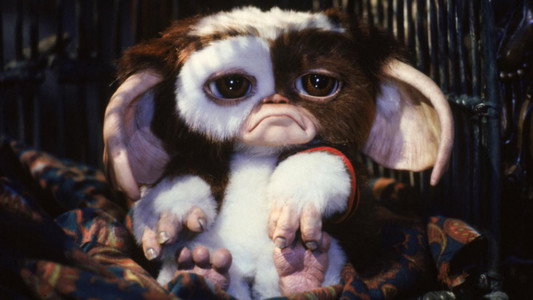 Gremlins 2: The New Batch