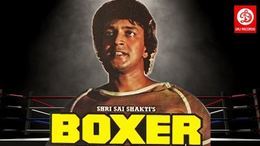 Boxer