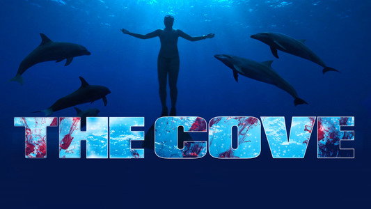 The Cove