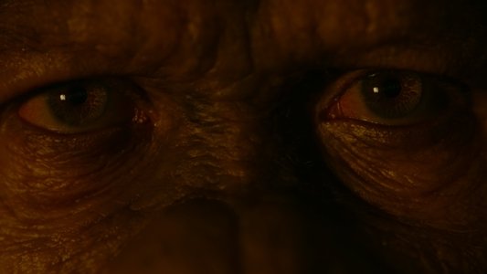 Dawn of the Planet of the Apes