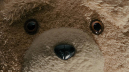 Ted