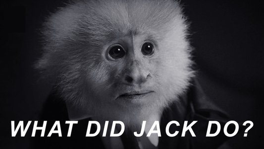 WHAT DID JACK DO?