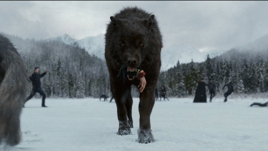 The Twilight Saga: Breaking Dawn - Part 2