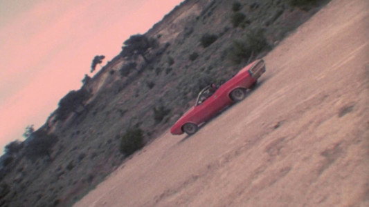 Natural Born Killers