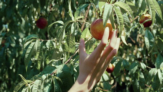 Call Me by Your Name