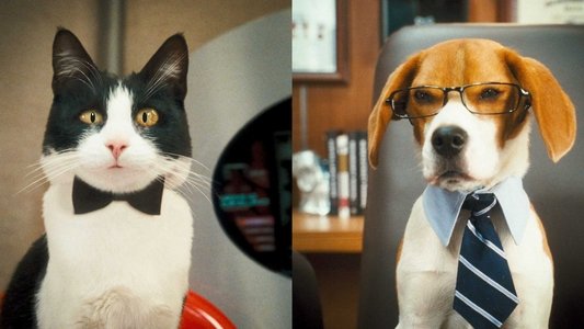 Cats & Dogs: The Revenge of Kitty Galore