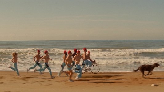 The Life Aquatic with Steve Zissou