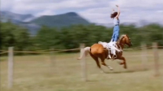 How the West Was Fun