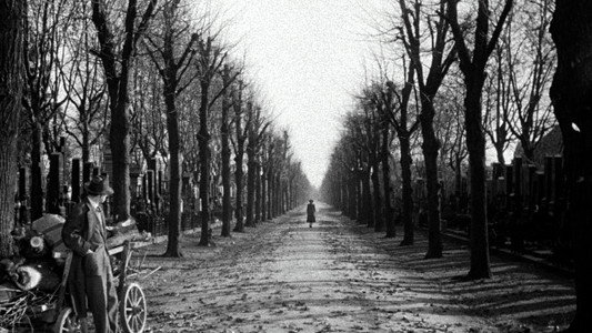 The Third Man