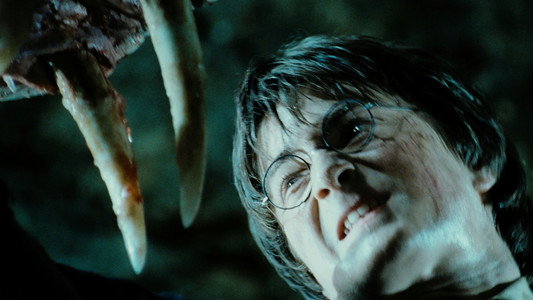 Harry Potter and the Chamber of Secrets