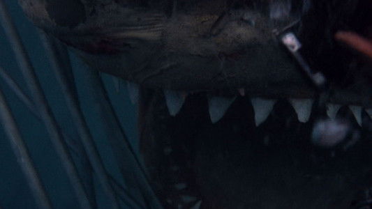 Jaws