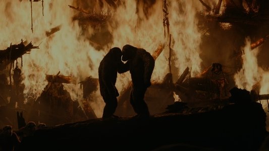 Dawn of the Planet of the Apes