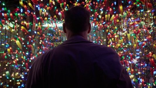 Birdman or (The Unexpected Virtue of Ignorance)