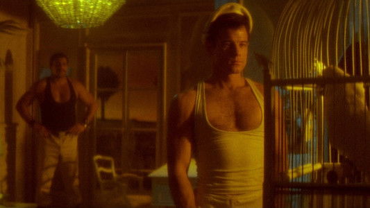 Querelle