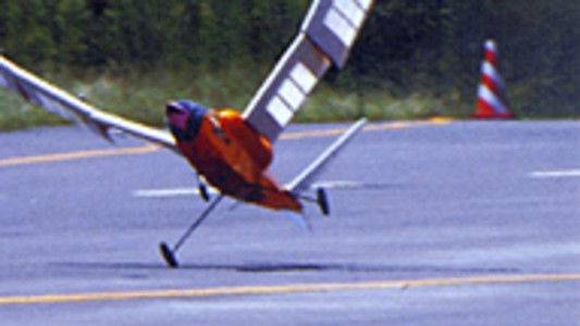 "The Ornithopter Story: Fly, Hiyodori Tengu!"