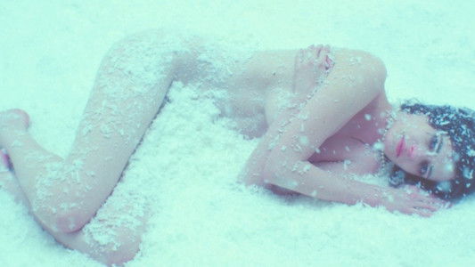 White Bird in a Blizzard