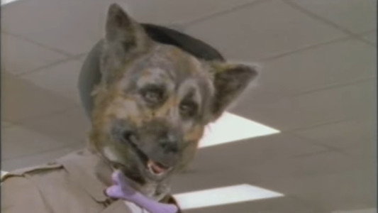 The Dog Police