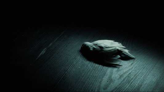Harry Potter and the Half-Blood Prince