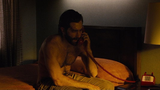 Nocturnal Animals