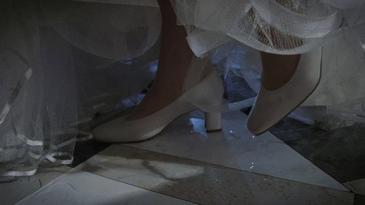 The Princess Diaries