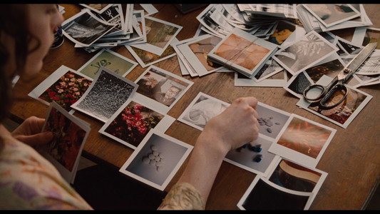 Love & Other Drugs