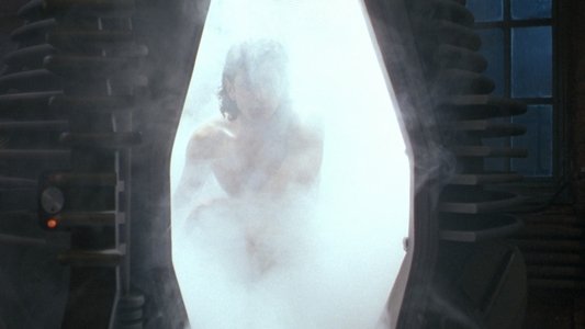 The Fly