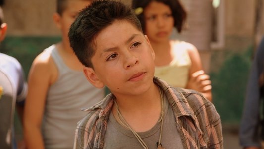 Get the Gringo