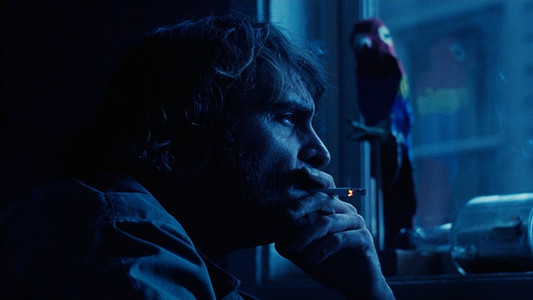 Inherent Vice