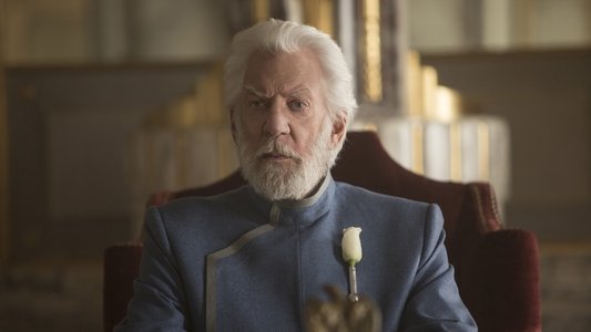 The Hunger Games: Mockingjay - Part 2