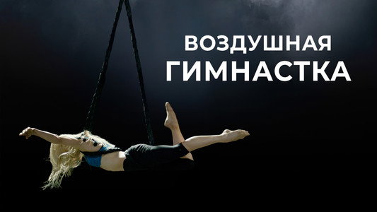 The Aerialist