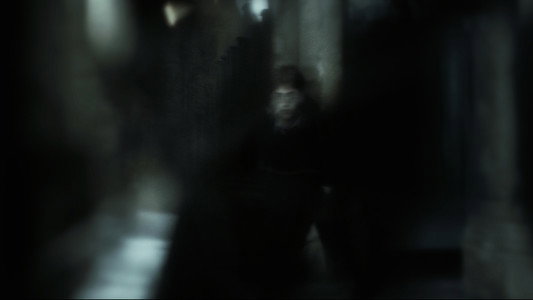 Harry Potter and the Half-Blood Prince