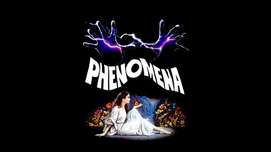 Phenomena