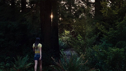 Jennifer's Body