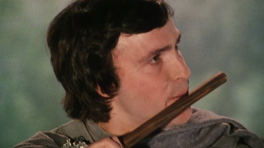 The Magic Flute