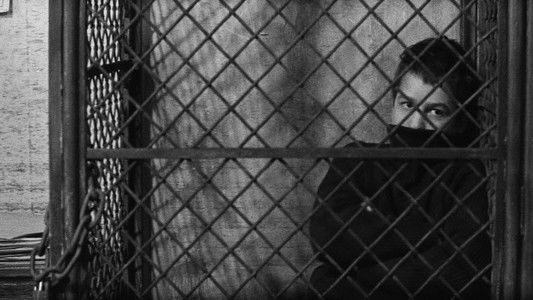 The 400 Blows