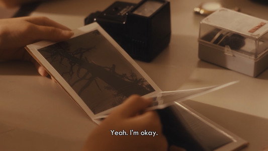 Summer's Camera
