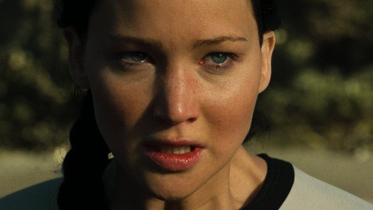The Hunger Games: Catching Fire