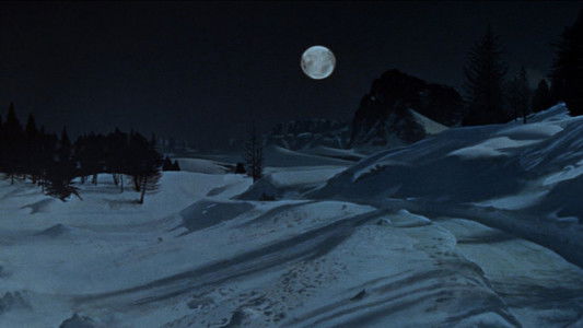 The Fearless Vampire Killers