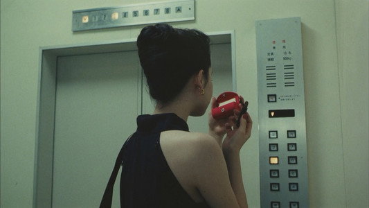 A New Love in Tokyo