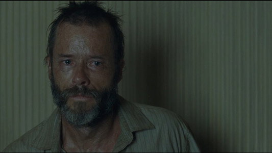 The Rover