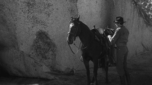 The Gunfighter