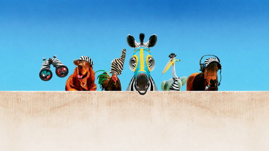 Racing Stripes