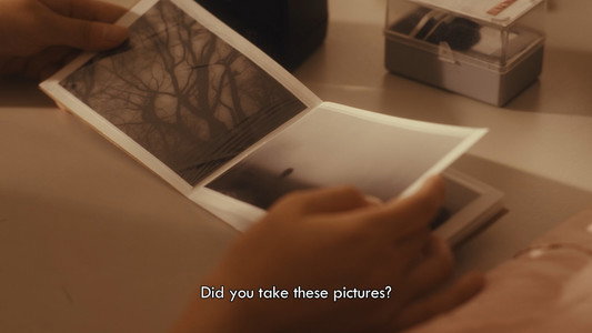 Summer's Camera