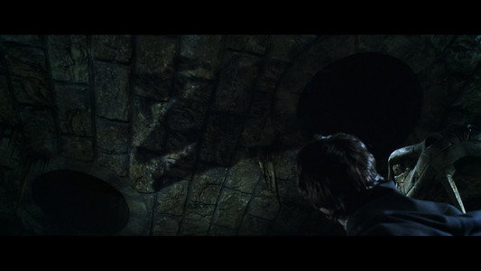 Harry Potter and the Chamber of Secrets