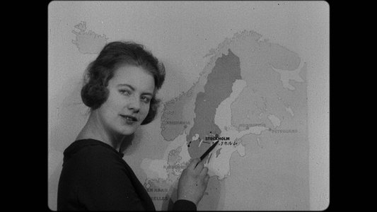 Prejudice and Pride: Swedish Film Queer