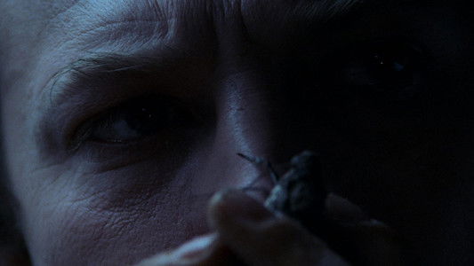 The Silence of the Lambs