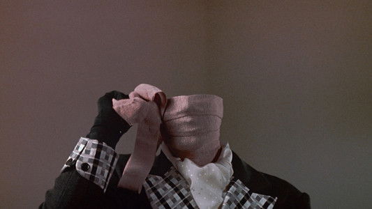 Memoirs of an Invisible Man