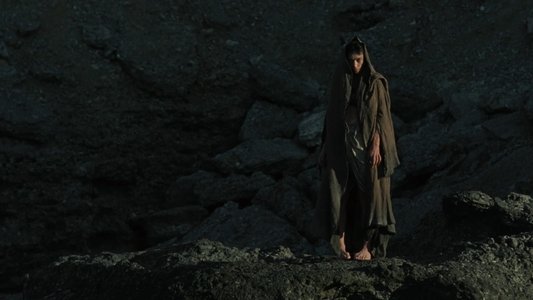 The Carpenter's Son