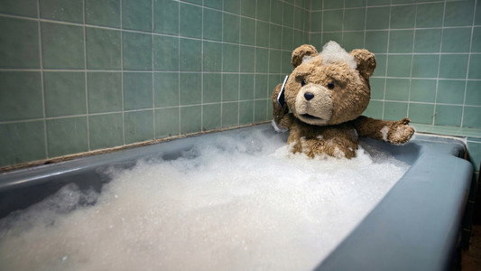 Ted