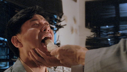 Kung Fu Vs. Acrobatic